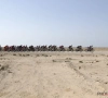 Meer kans op succes voor België op WK in Qatar? UCI past parcours aan
