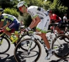 Cofidis trekt aan de mouw van ex-winnaar bolletjestrui in de Tour