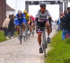 Peter Sagan zat in de finale van Parijs-Roubaix door zijn beste krachten heen