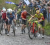 Merckx moest vroeger niets weten van deze berg: "Ze kunnen beter een ladder laten beklimmen"