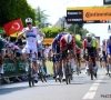 🎥 Van der Poel stunt net niet in de Tour, Merlier bezorgt Soudal Quick-Step zijn derde ritzege 