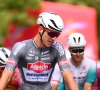 Veldrijder Alpecin-Deceuninck eerlijke verliezer na pijnlijke fout en steekt hand in eigen boezem