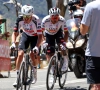 🎥 UAE Team Emirates-XRG telt concurrentie in Tour Down Under al helemaal uit