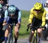 Profiteerde Segaert van tactische blunder? Analist en Visma-Lease a Bike spreken elkaar tegen