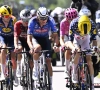 Eén ploeg krijgt zware veeg uit de pan: ''Van der Poel werkt frustraties weg, jullie hebben het weer verpest''