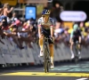 De Cauwer, Pauwels, Bakelants en De Wolf lyrisch over Remco, maar er komt ook kritiek op Soudal Quick-Step