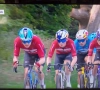 "Fotofinish-zege meer dan terechte beloning: Van Aert geeft masterclass van jewelste"