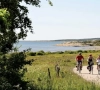 Fietsen in Zweden: de wilde, ongerepte kant van Europa