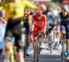 ''Wout van Aert kruipt als geen ander in het hoofd van Tadej Pogacar''