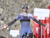 'Tadej Pogacar heeft een knoop doorgehakt over zijn deelname aan Parijs-Roubaix'