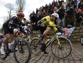 Vorm Van Aert slechts deel van probleem? Bakelants en Stybar wijzen naar Visma: "Heel erg voor Wout, hij verdient het om koersen te winnen"