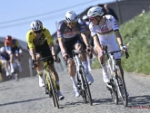 Van Aert laat zich van sterke kant zien: "Geen probleem voor Wout, maar Pogacar heeft ons klap in het gezicht verkocht"