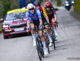 Onverwachte transfer Alpecin-Premier Tech ondersteunt plots Van der Poel en onthult hun band