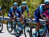 🎥 Koers LIVE: Alec Segaert en Toon Aerts reageren na eerste en tweede plaats in de Giro