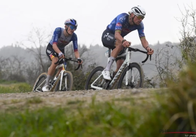 🎥 Van der Poel oordeelt over de gevaarlijkheid en de bloemen zijn eens niet voor Roxanne
