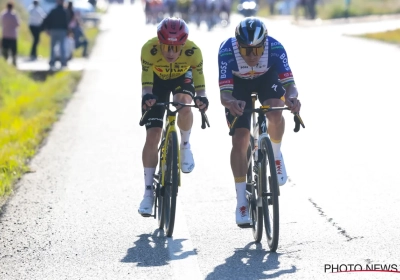 "Hij is geen dommerik, hé": Sergeant over duo-aanval van Evenepoel en Vingegaard