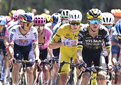 TDF LIVE: Onze sterren voor rit 14 in de Tour de France