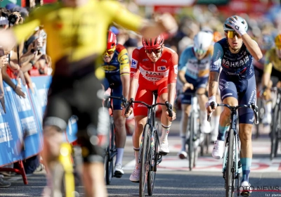 ''Wout van Aert kruipt als geen ander in het hoofd van Tadej Pogacar''