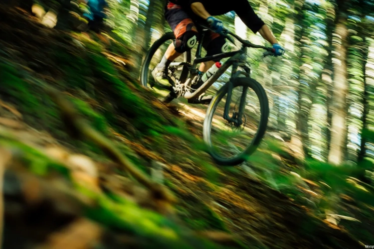 Ex-profrenner krijgt stevige GAS-boete om... afval in vuilnisbak te gooien tijdens fietstocht